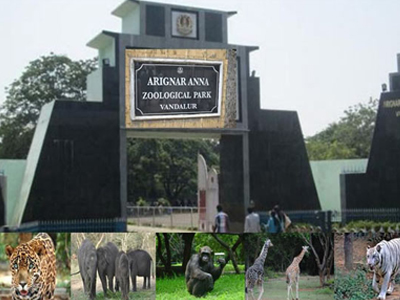 Vandalur Zoo